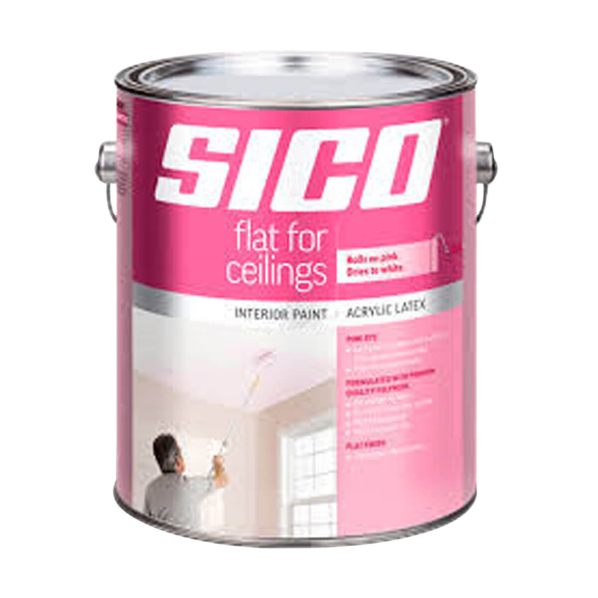 Flat for Ceilings Finish with Pink Dye Interior Latex Paint - 3.78L - White
