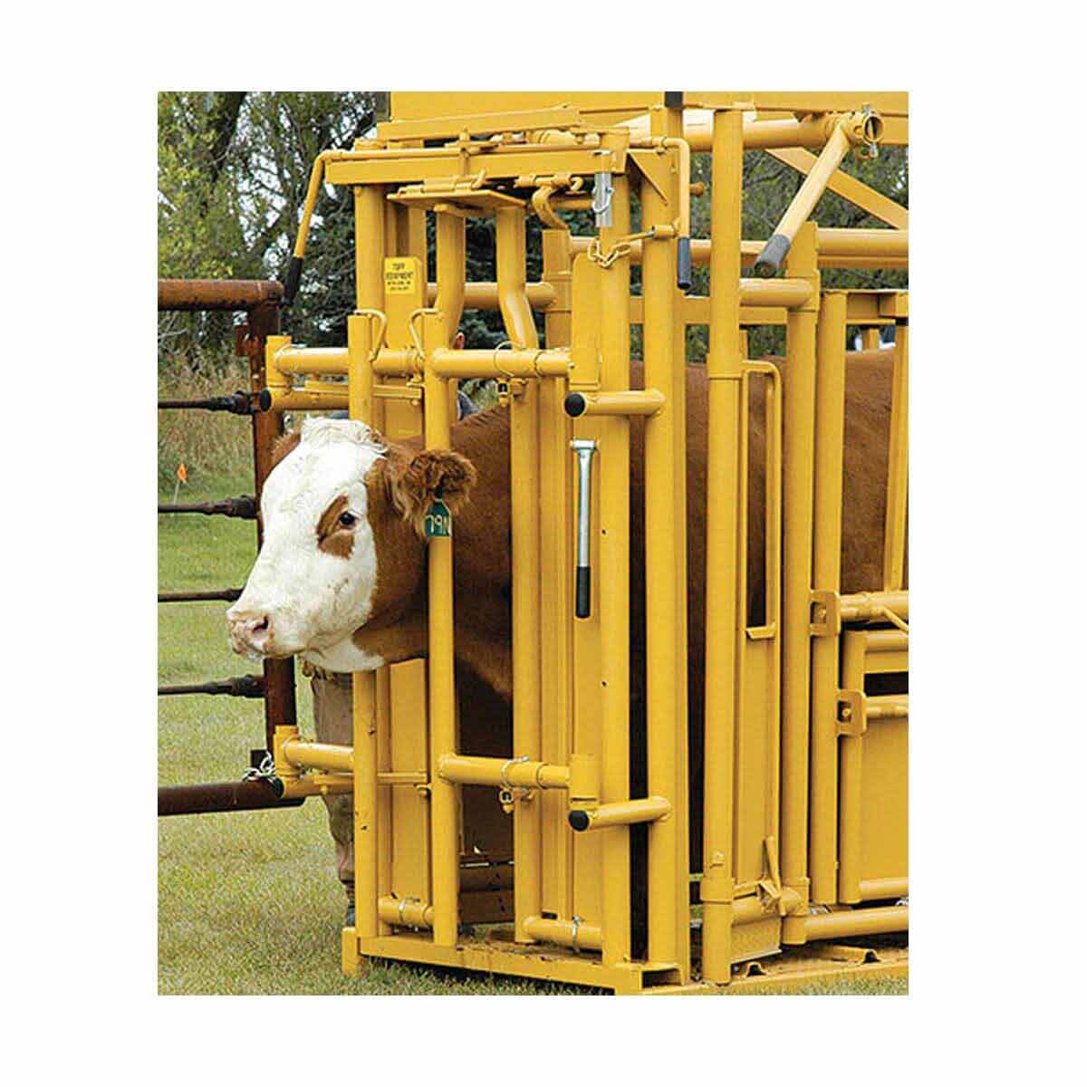 Tuff Self-Catch Head Gate with Neck Extender