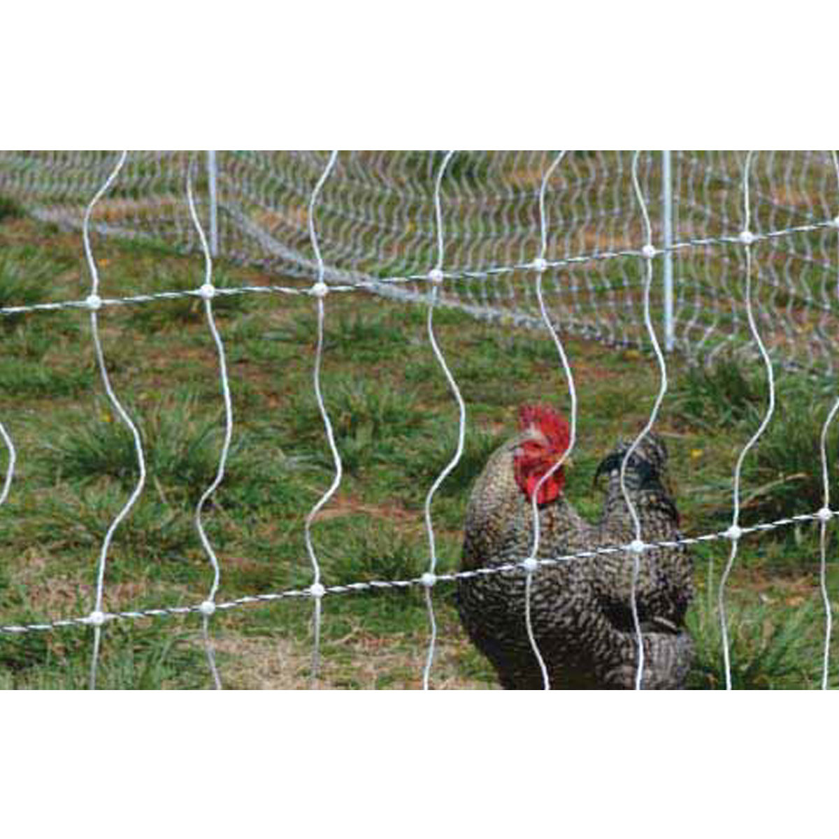 Gallagher Poultry Net