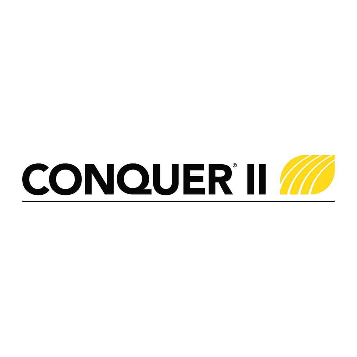 CONQUER II 77.7L