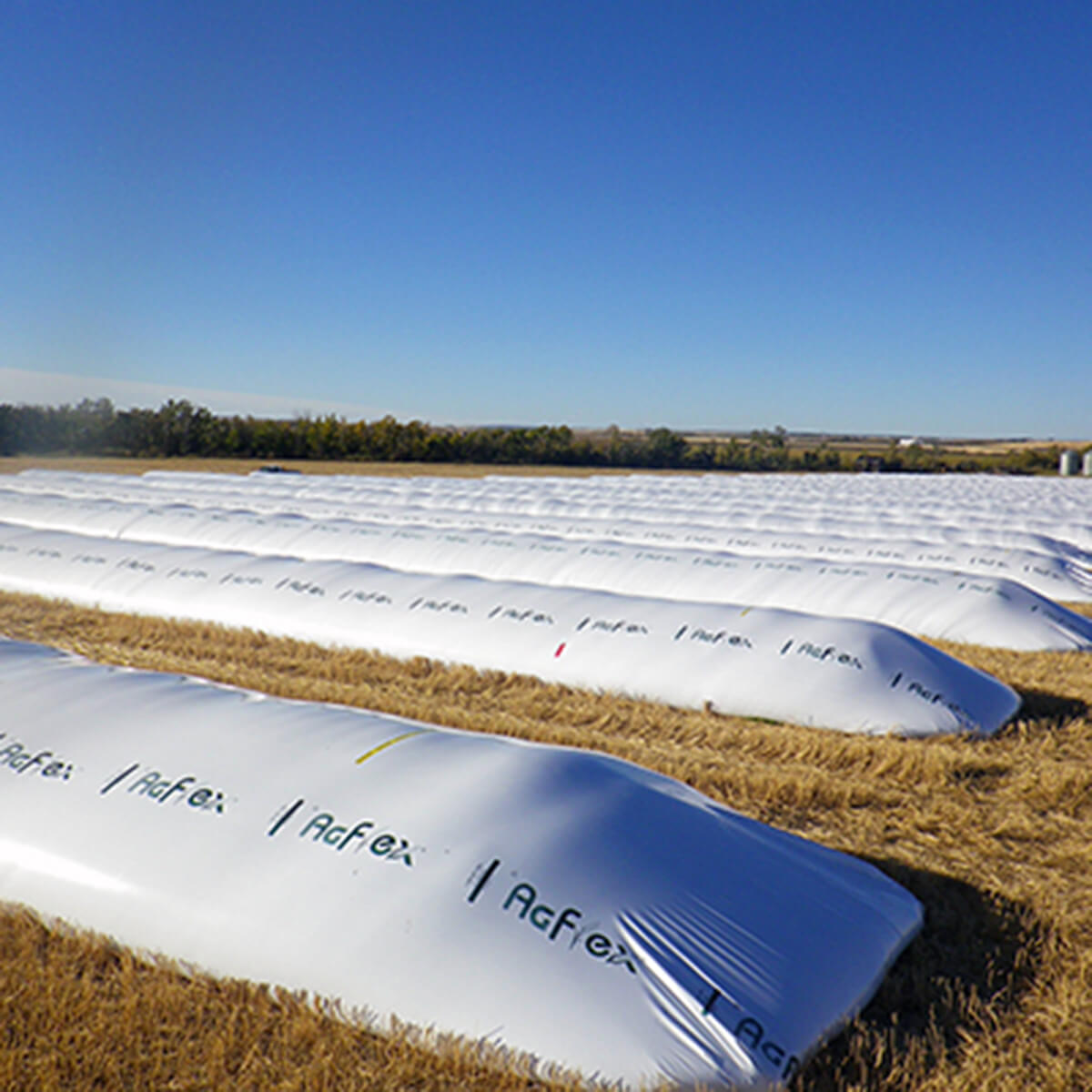 Ag Flex Grain Bags - 10-ft x 500-ft