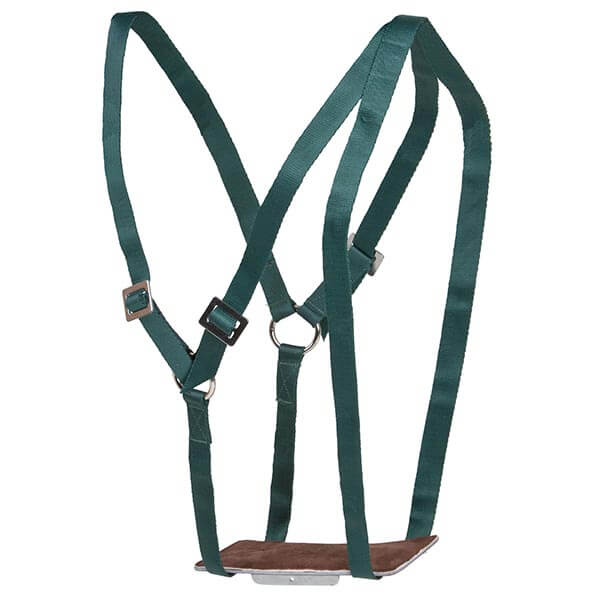 Ewe Marker Ram Harness