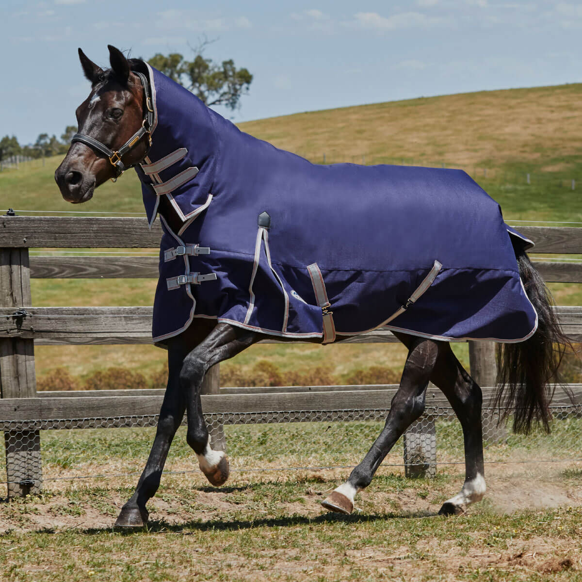 WeatherBeeta ComFiTec Esssential Combo Heavy Horse Blanket - Tricolour