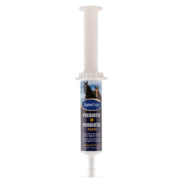 Equine Choice Pre & Probiotic - Paste