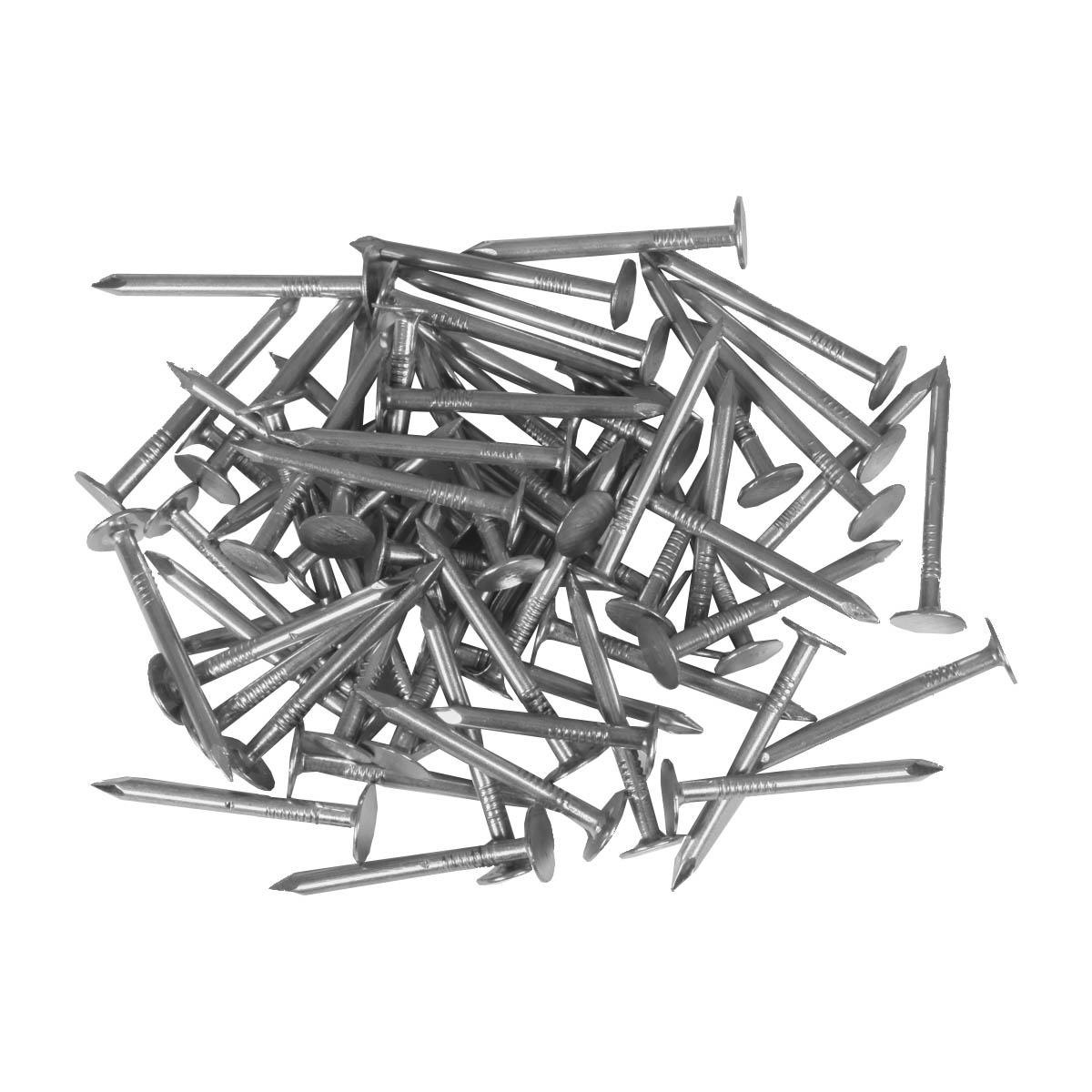 Roofing Nails  - 1-in