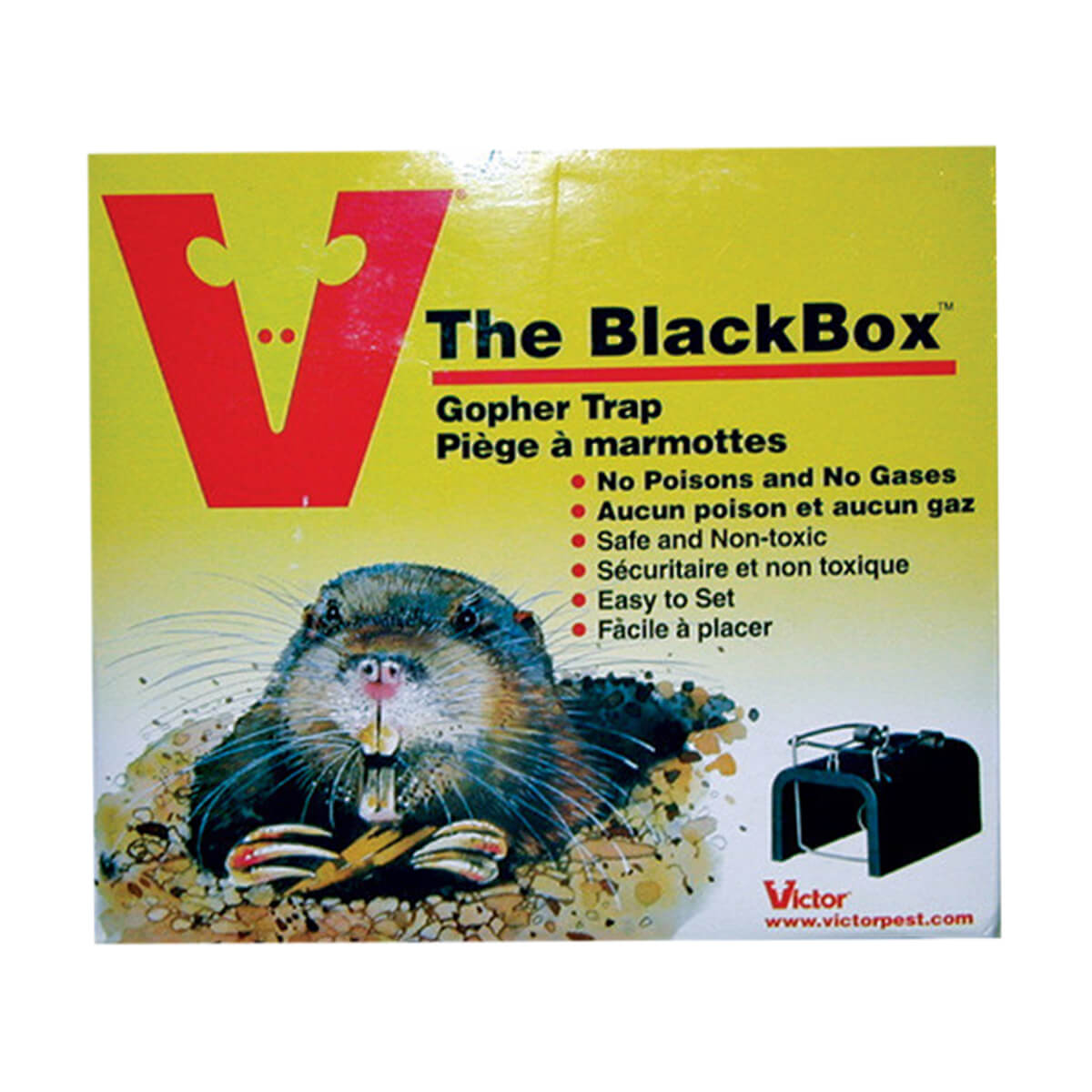 The Black Box Gopher Trap