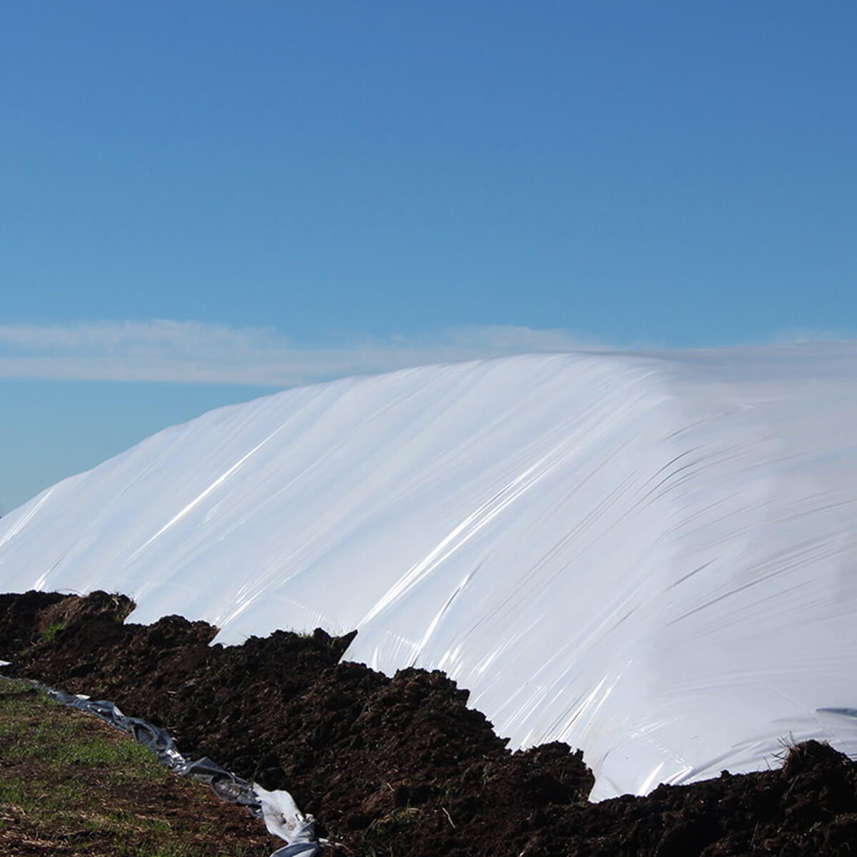 Polyethylene Black & White Sheeting - 40' x 150'