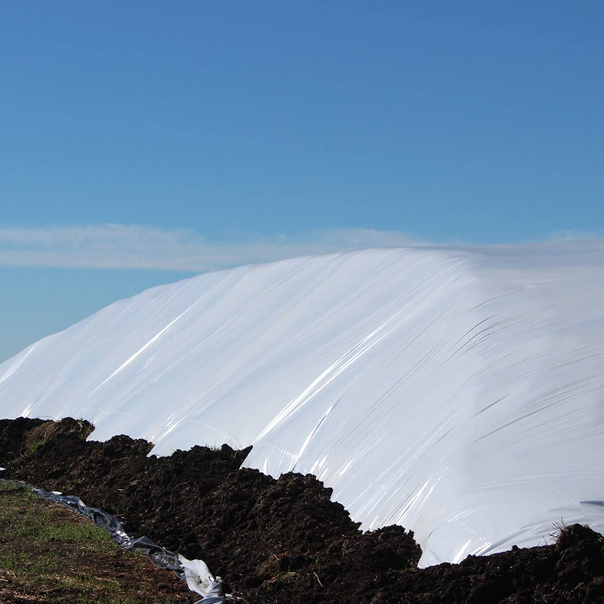 Polyethylene Black & White Sheeting - 60' x 150'