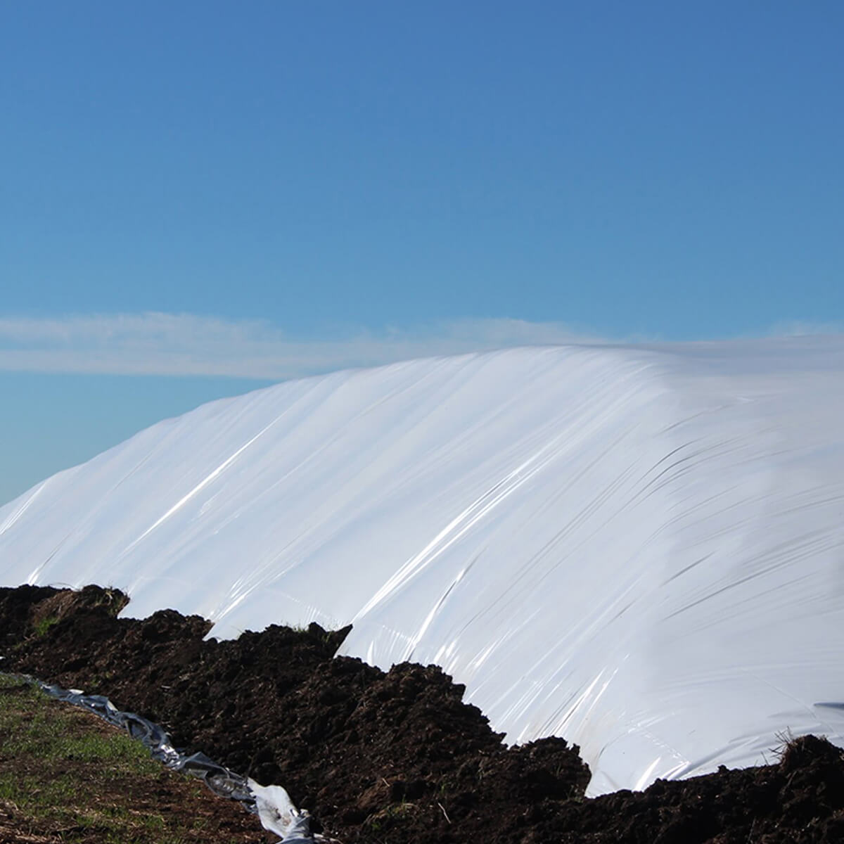 Polyethylene Black & White Sheeting - 50' x 100'