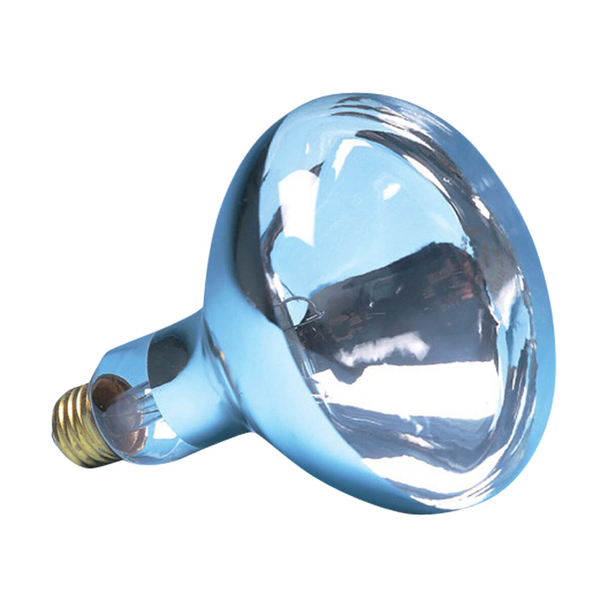 Brooder Bulb - Clear - 250W