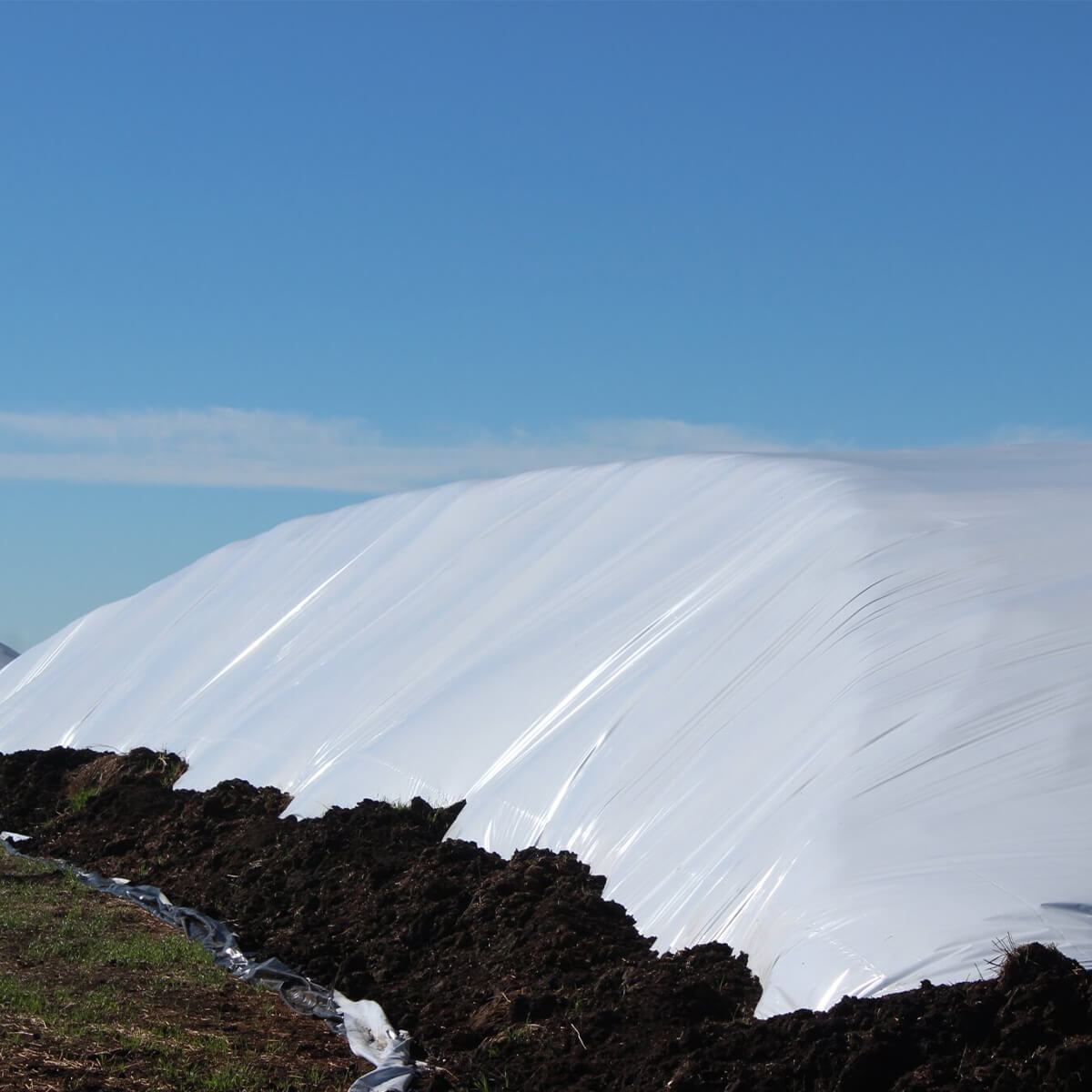 Polyethylene Black & White Sheeting - 50' x 150'