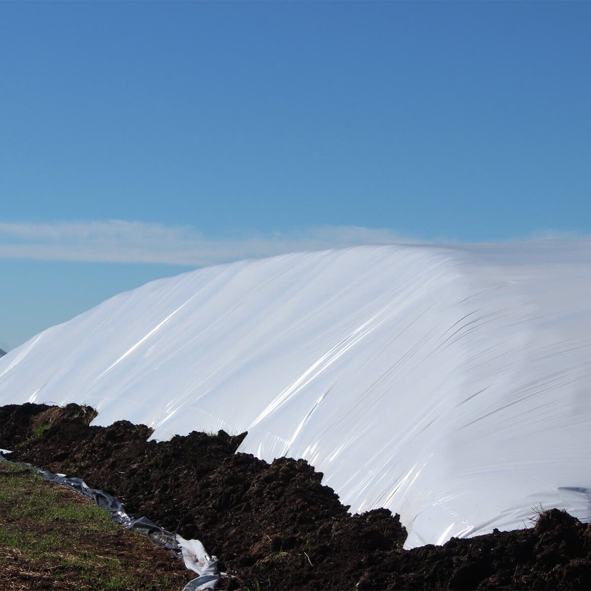 Polyethylene Black & White Sheeting - 50' x 200'