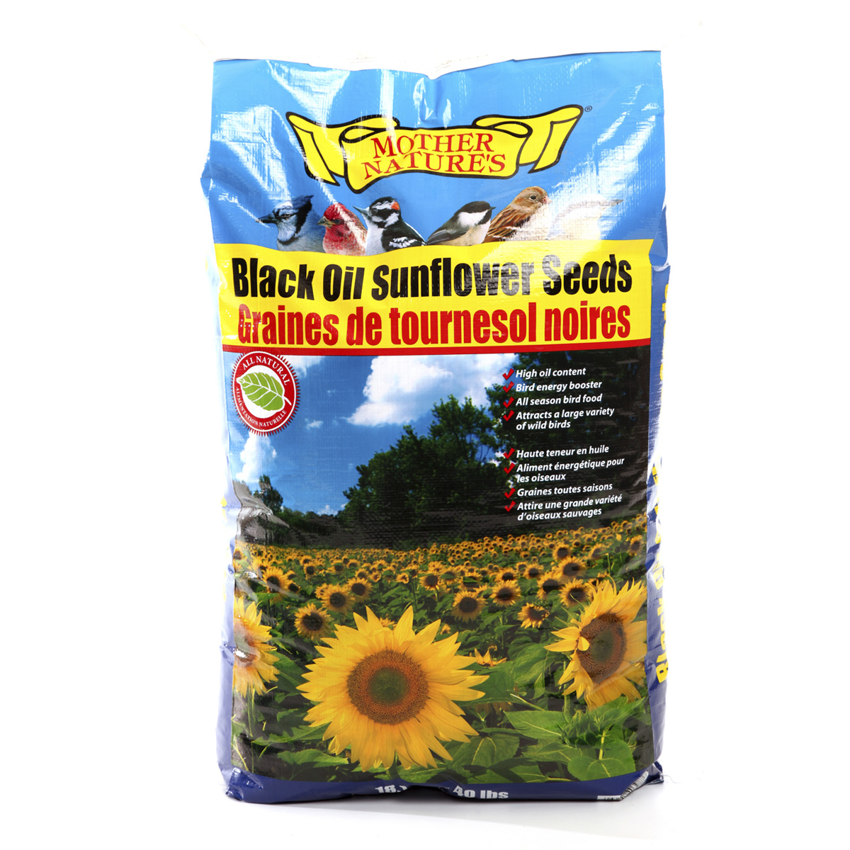Black Oil Sunflower Seed for Bird Feeding - 18.14 kg