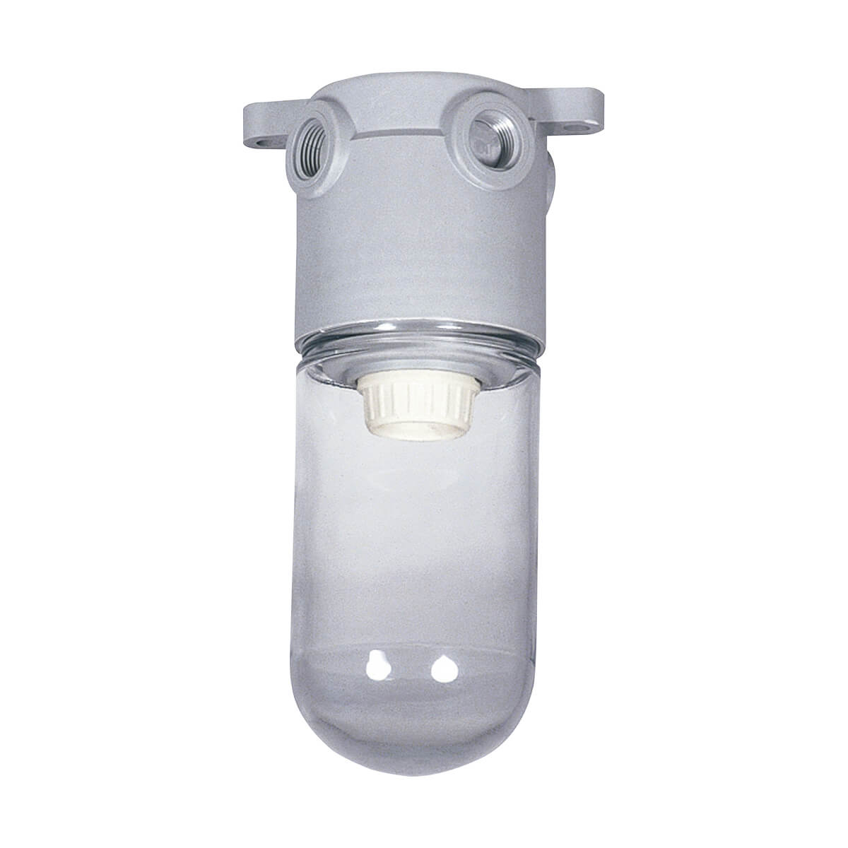 PVC Conduit Nonmetallic Vapor-Proof Incandescent Fixture - Clear Globehub PVC Conduit Nonmetallic Vapor-Proof Incandescent Fixture - Clear Globehub