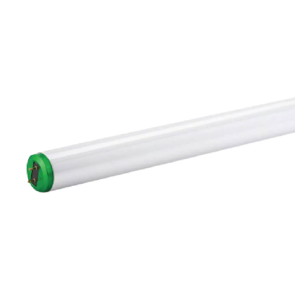 Fluorescent Bulb - Cool White - 34WT12 - 48-in
