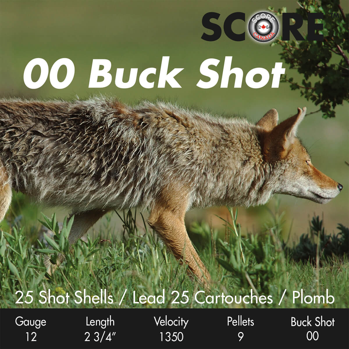 00 Buck Shot Ammo 2-3/4" 00 Buck Shot Ammo 2-3/4"