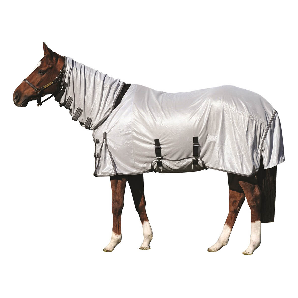Century Deluxe Fly Sheet With Belly Guard Century Deluxe Fly Sheet With Belly Guard