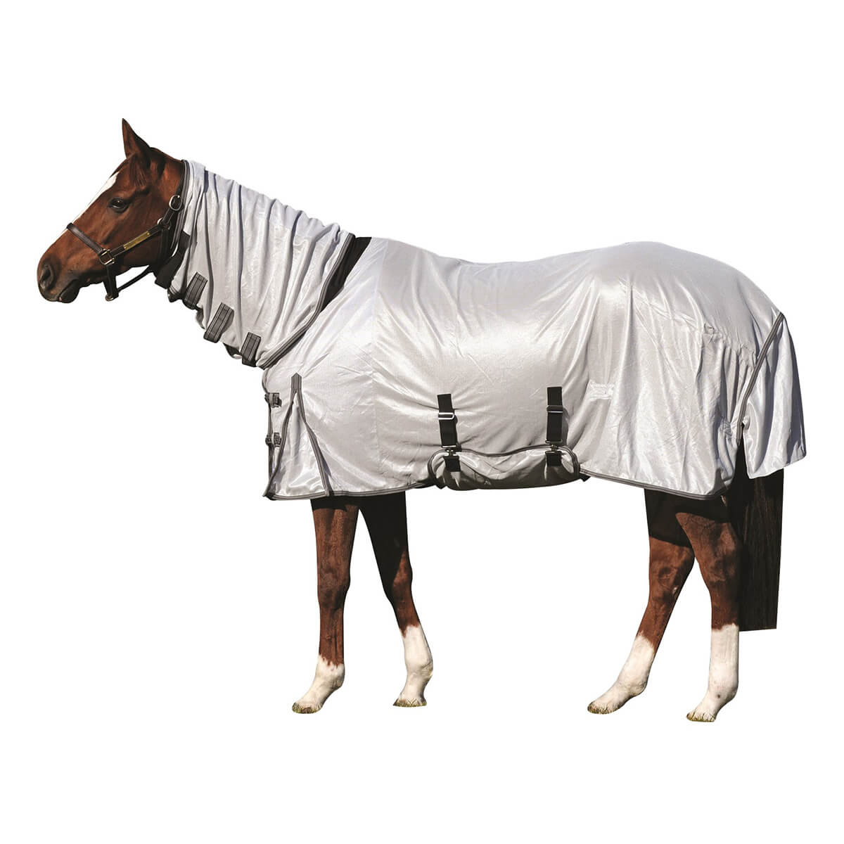 Century Deluxe Fly Sheet With Belly Guard