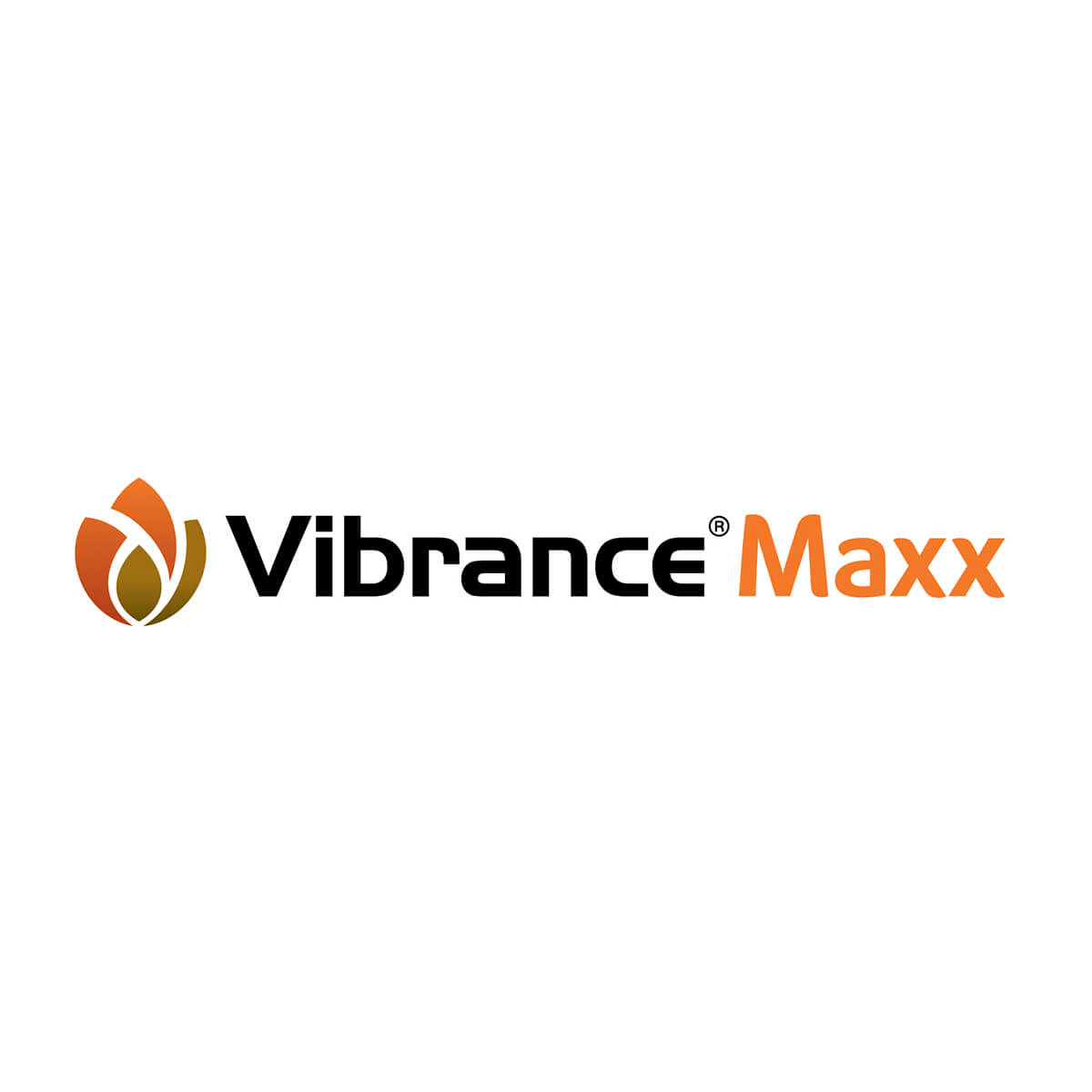 VIBRANCE MAXX RFC 3.075L