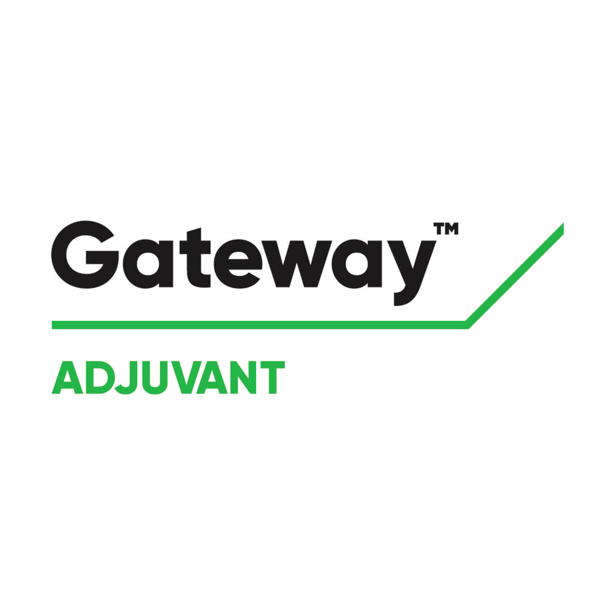 GATEWAY - 4 L Jug