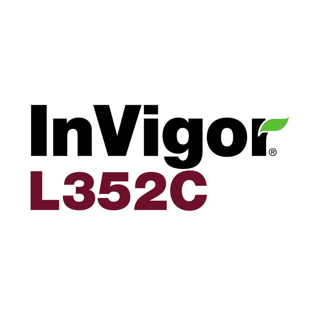 INV L352C PE LUMI BAG INV L352C PE LUMI BAG
