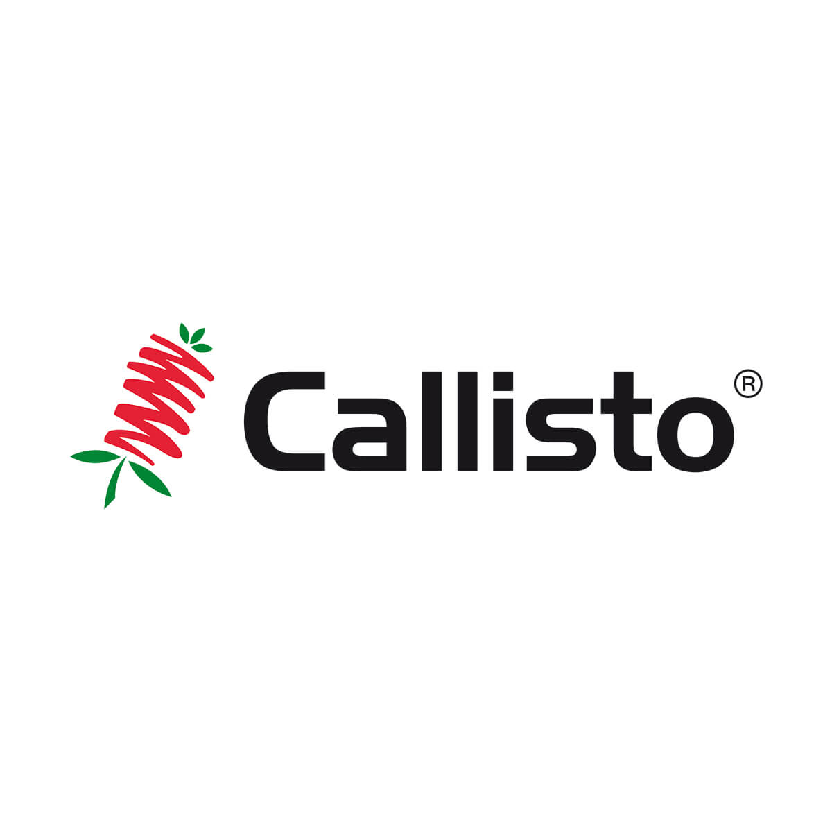 Callisto - 2.4L Jug