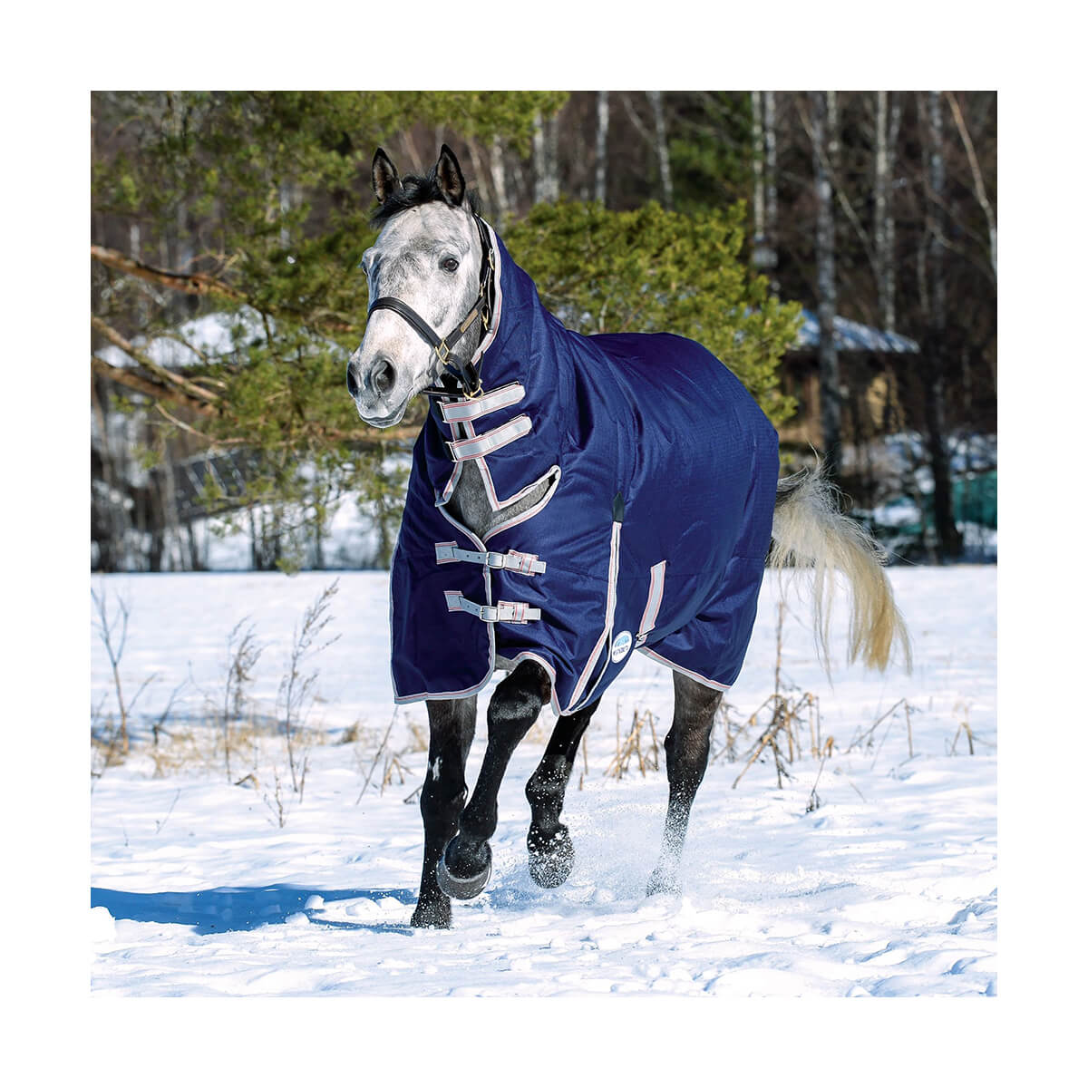 WeatherBeeta ComFiTec Esssential Combo Heavy Horse Blanket - Tricolour