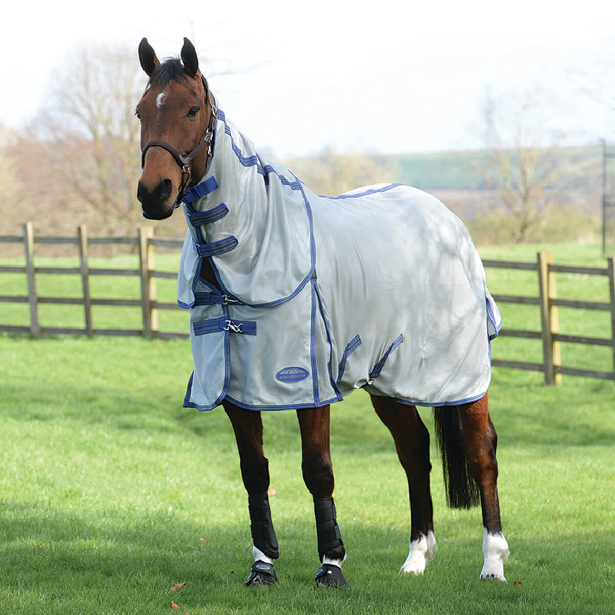 Weatherbeeta ComFiTec Airflow II Detach-a-Neck Fly Sheet - 75-in Weatherbeeta ComFiTec Airflow II Detach-a-Neck Fly Sheet - 75-in