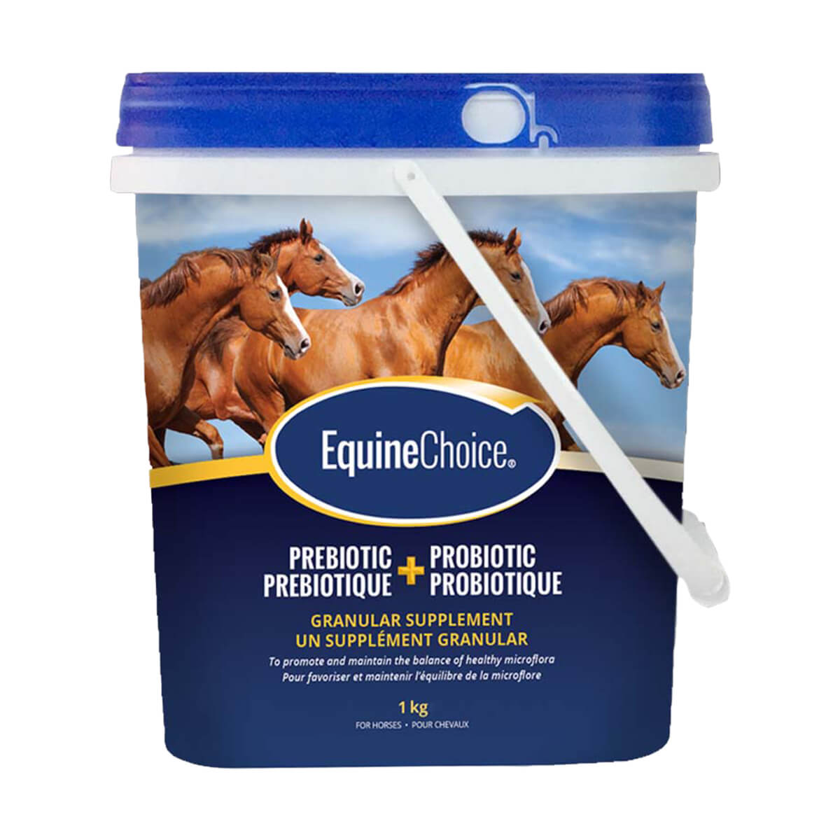 Equine Choice Pre & Probiotic - Granular