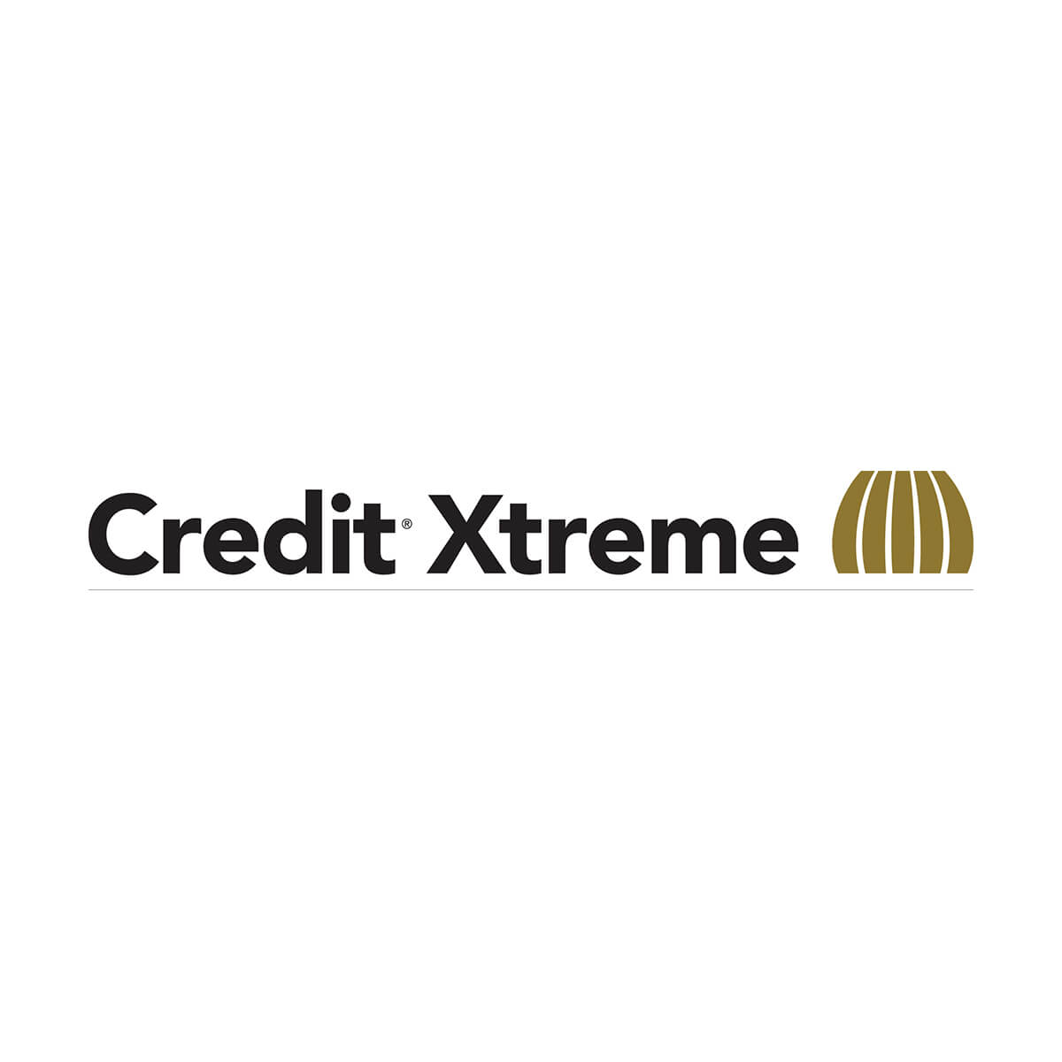 Credit® Xtreme - 900 L Tote Credit® Xtreme - 900 L Tote