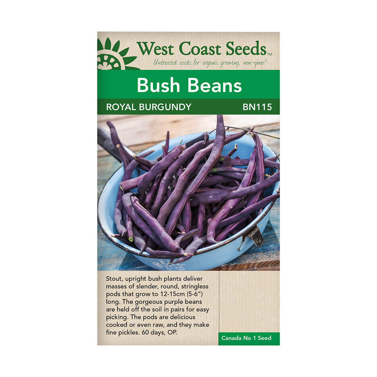 Royal Burgundy Bush Bean Seeds - approx. 75 seeds