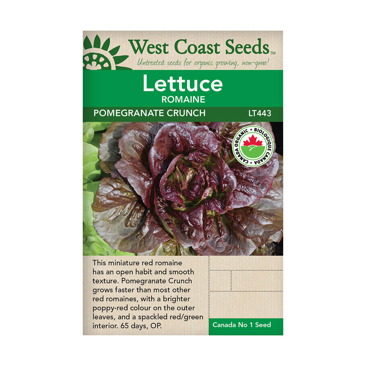 Pomegranate Crunch Organic Romaine Lettuce Seeds - approx. 50 seeds