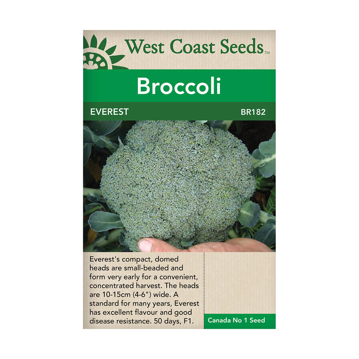 Everest Broccoli Seeds - approx. 52 seeds