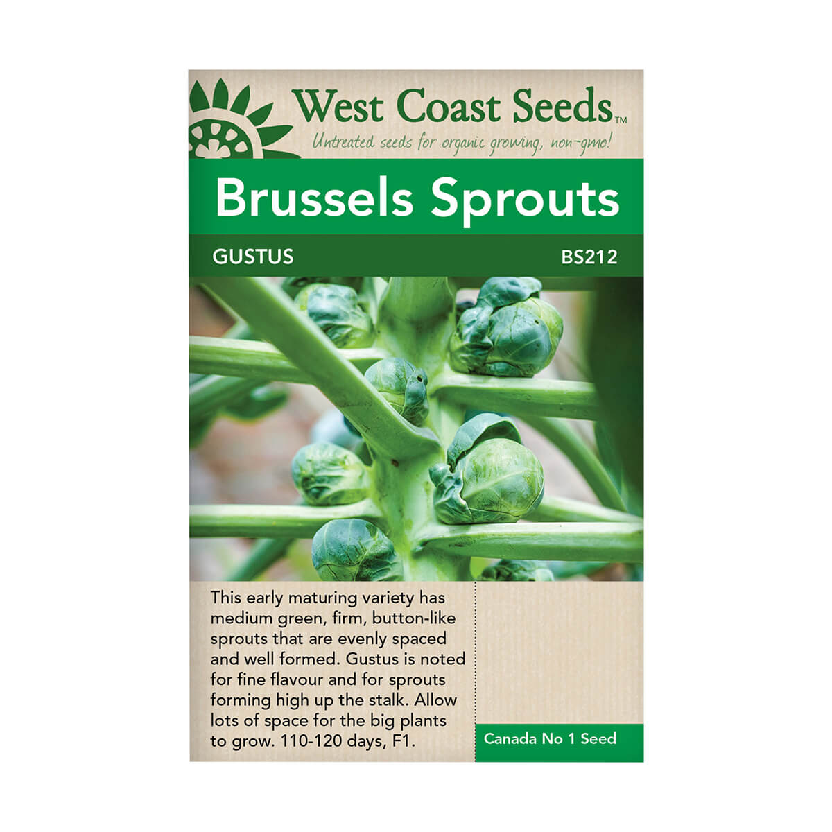 Gustus Brussels Sprout Seeds - approx. 20 seeds