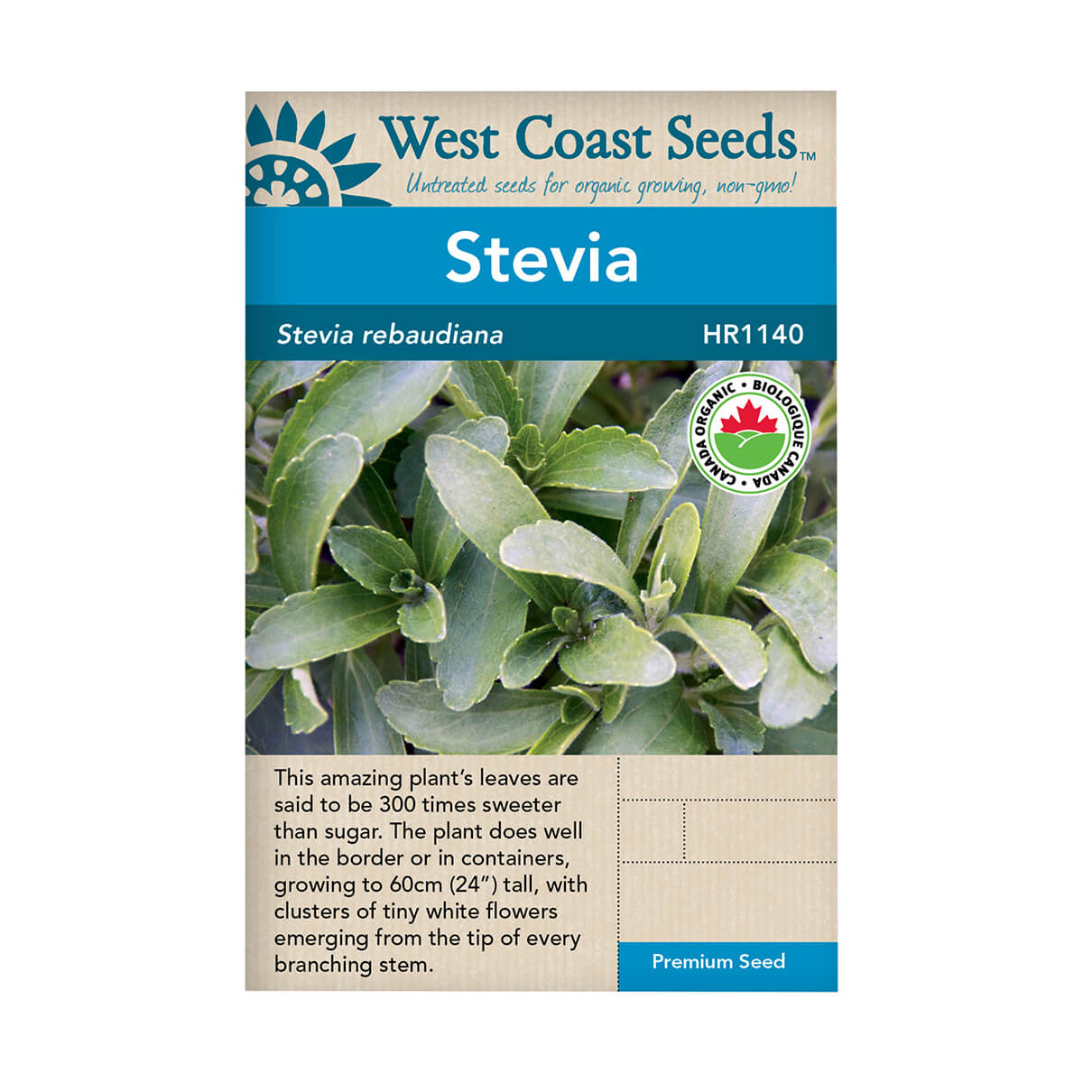 Organic Stevia Seeds - approx. 25 seeds