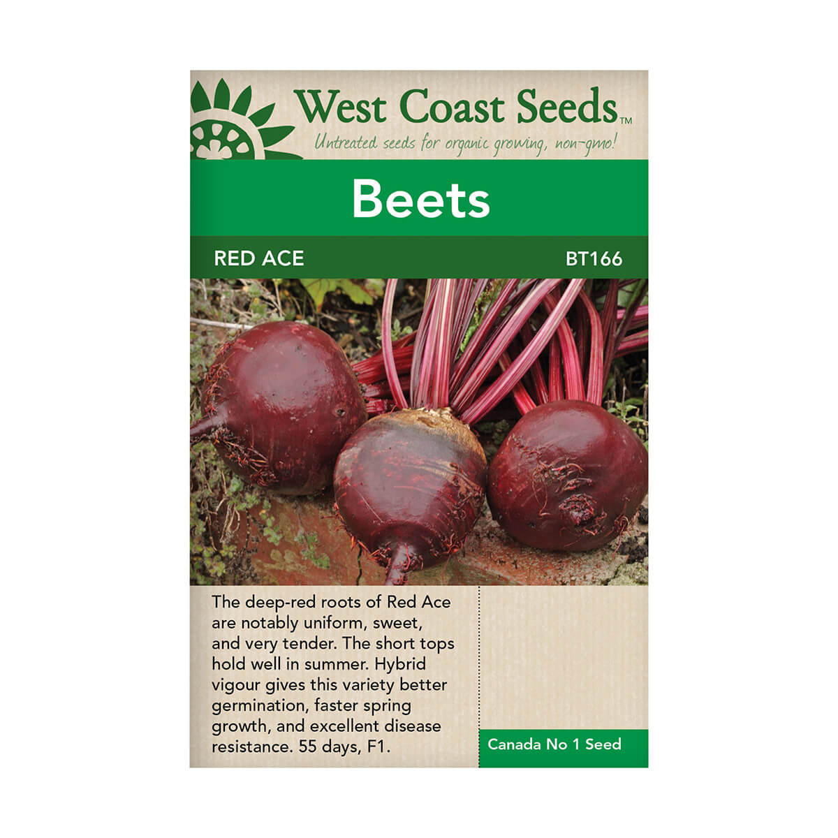 Red Ace Beet Seeds - approx. 200 seeds