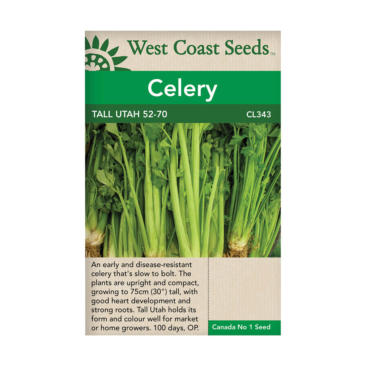 Tall Utah 52-70 Celery Seeds - approx. 1081 seeds