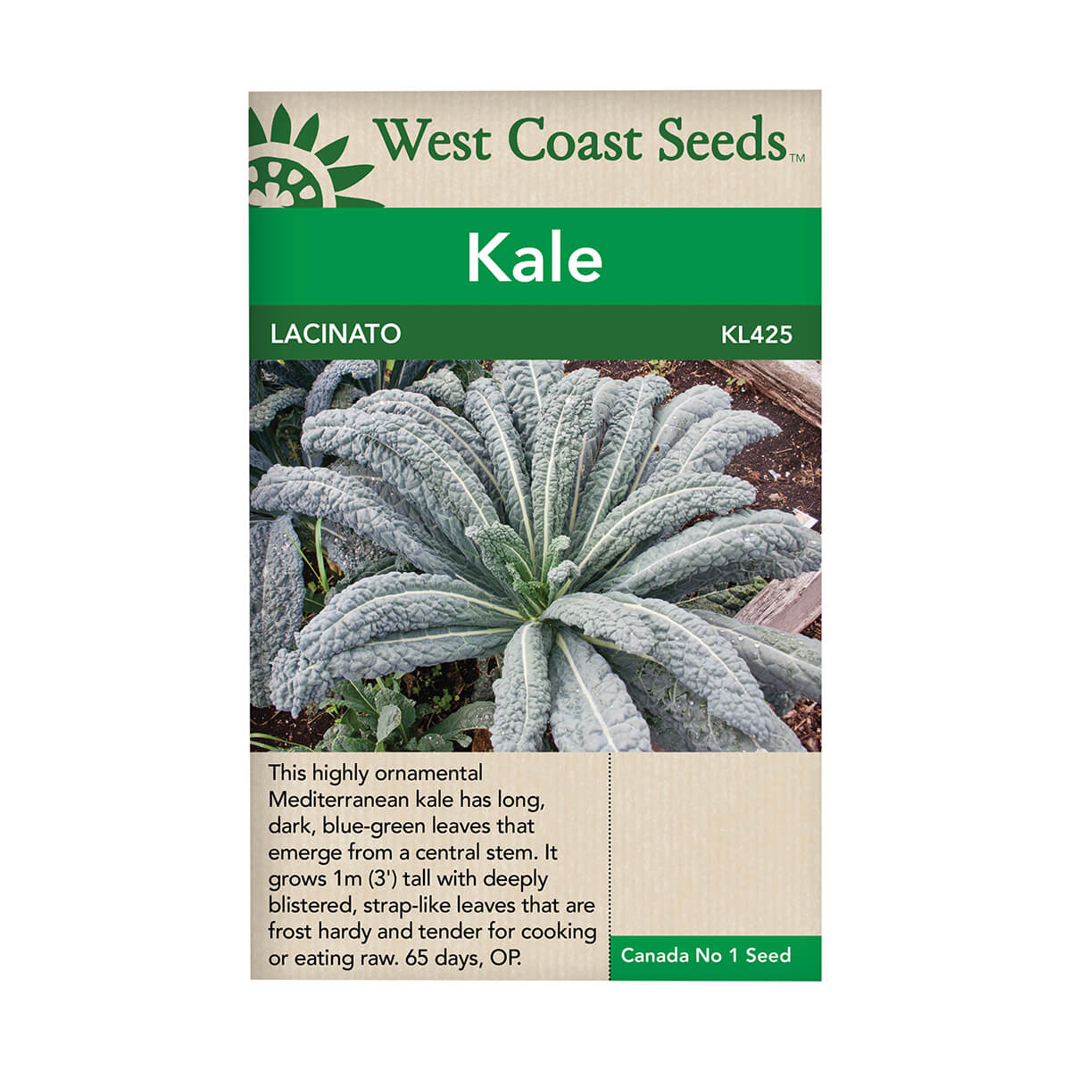 Lacinato Kale Seeds - approx. 328 seeds