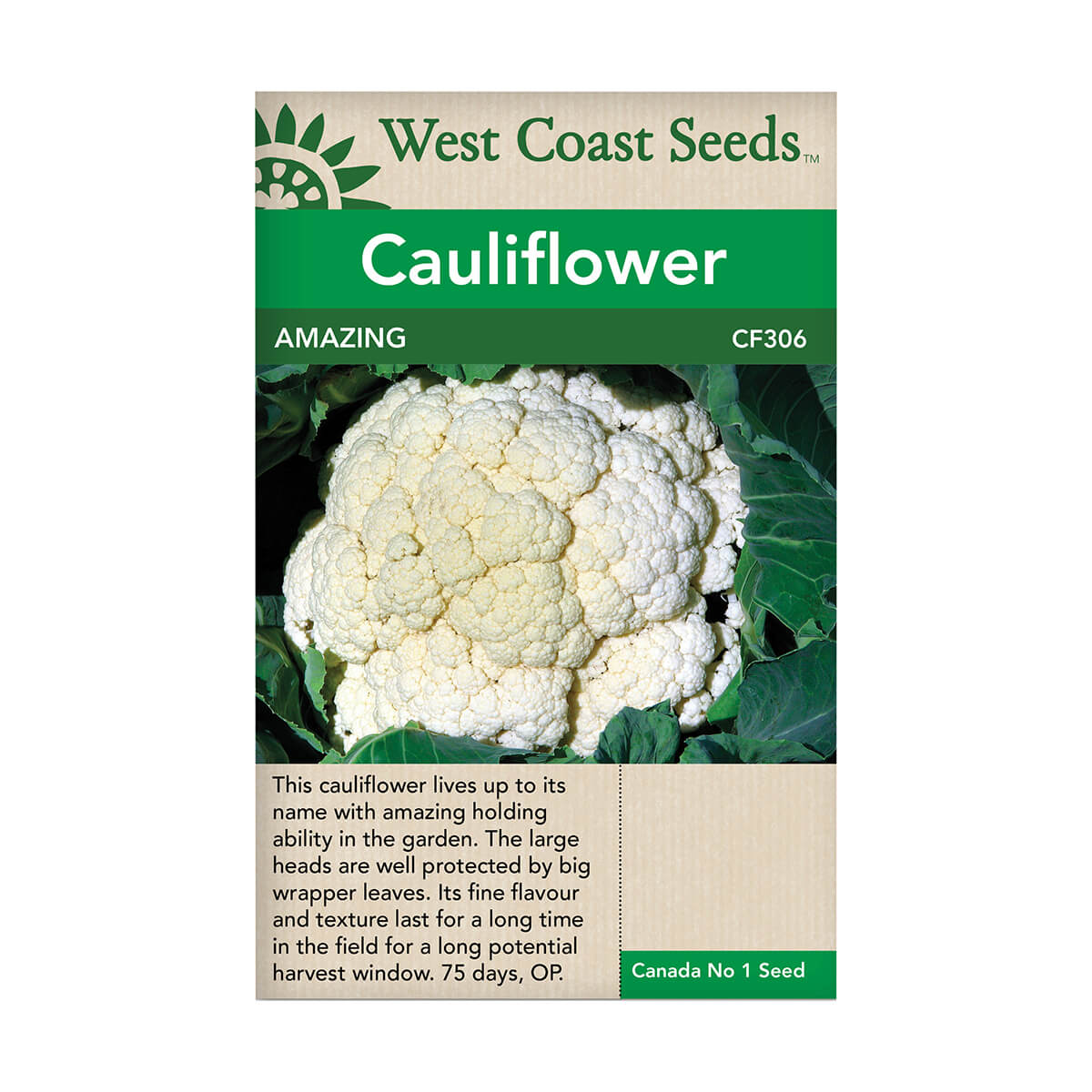 Amazing Cauliflower Seeds - approx. 19 seeds