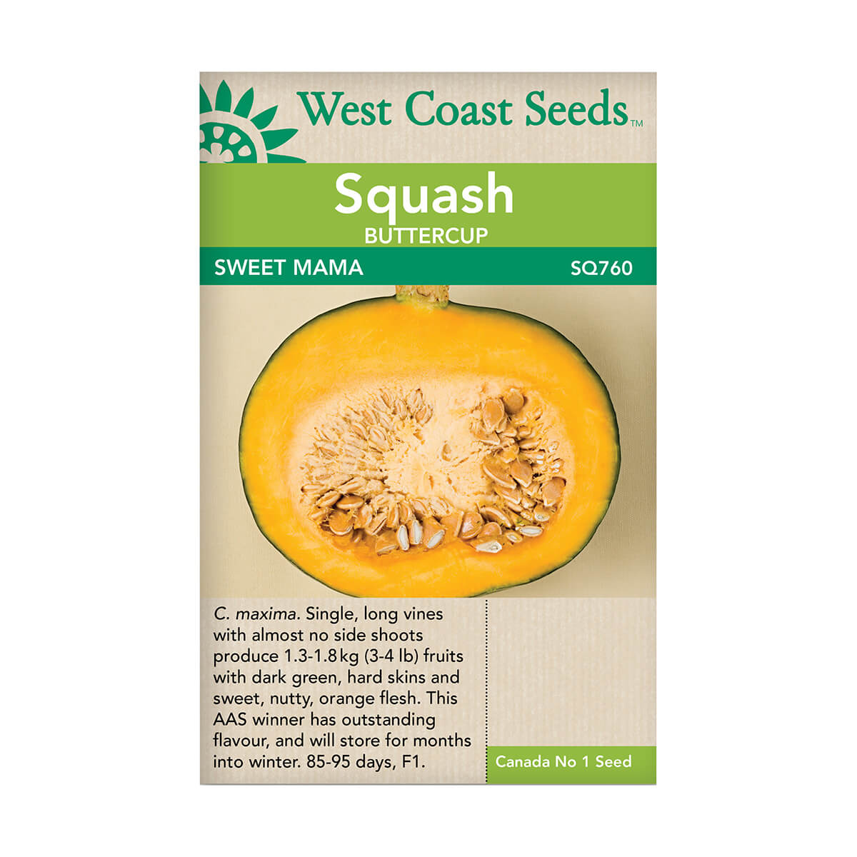 Sweet Mama Kabocha Squash Seeds - approx. 12 seeds