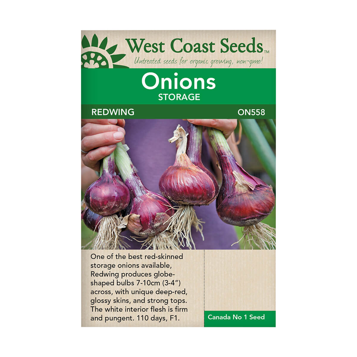 Redwing Storage Onion Seeds - approx. 107 seeds