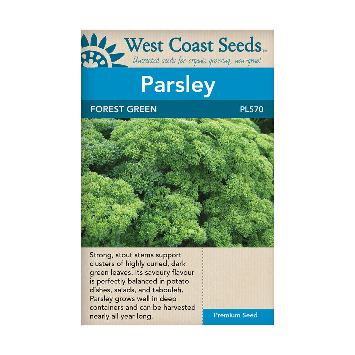 Forest Green Parsley Seeds - approx. 898 seeds