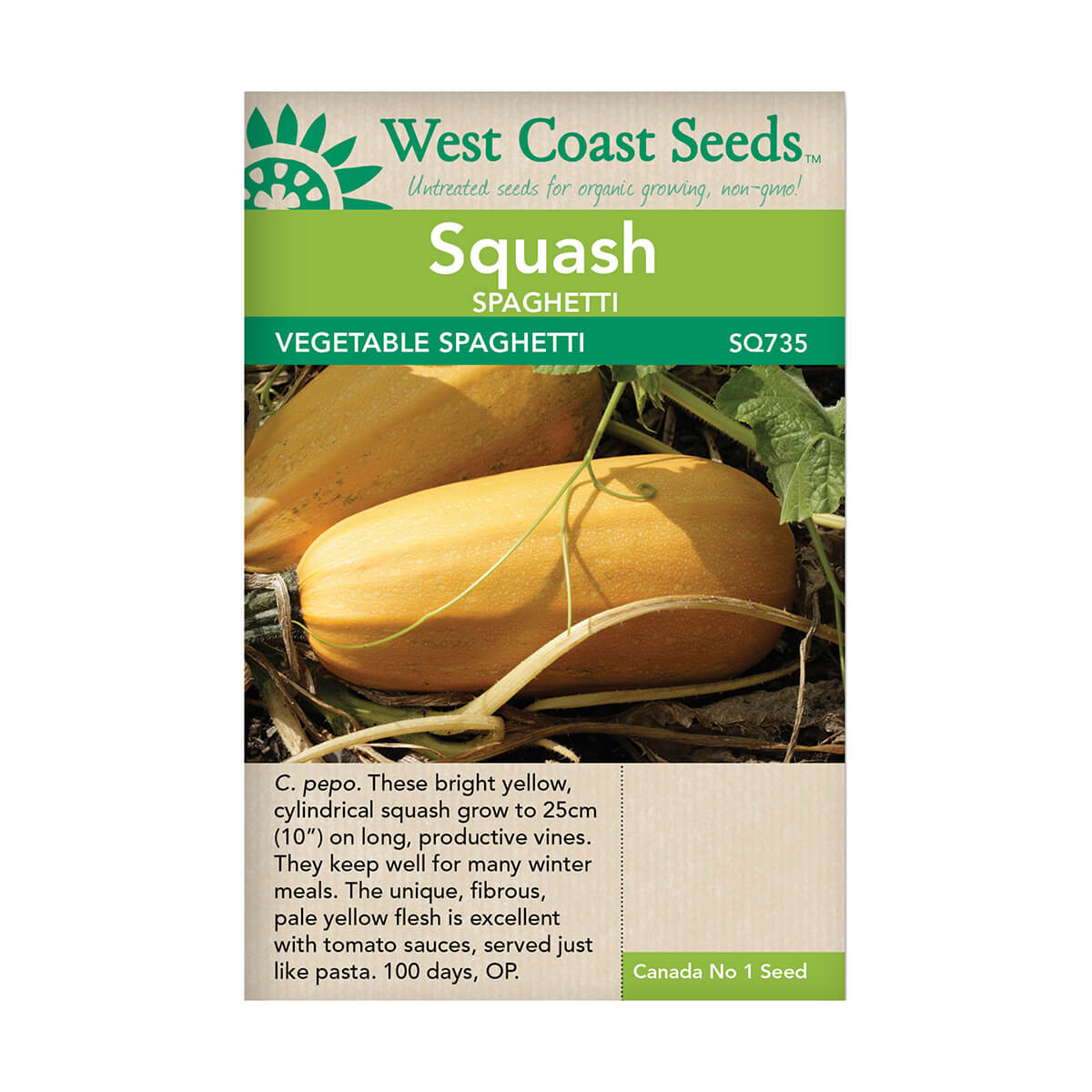 Vegetable Spaghetti Squash Seeds - approx. 18 seeds