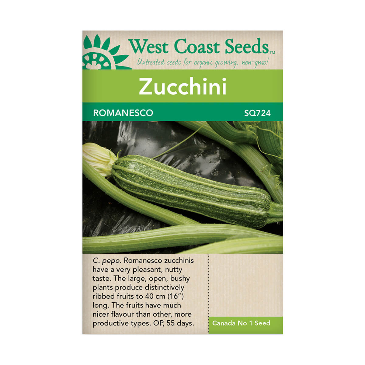 Romanesco Zucchini Seeds - approx. 12 seeds