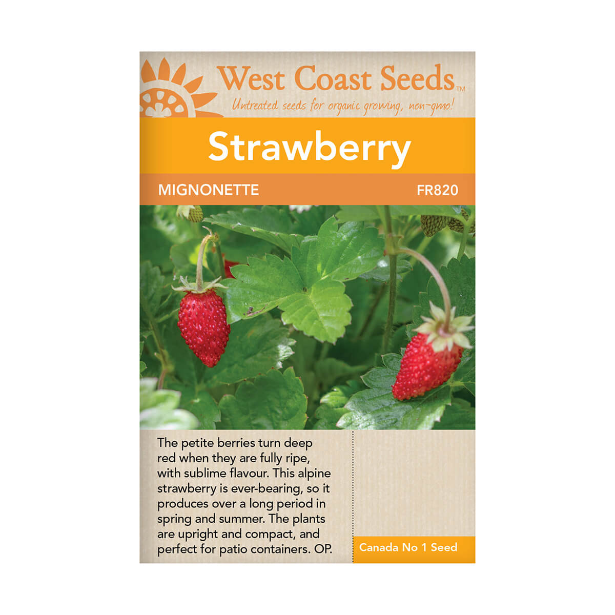Mignonette Alpine Strawberry Seeds - approx. 60 seeds