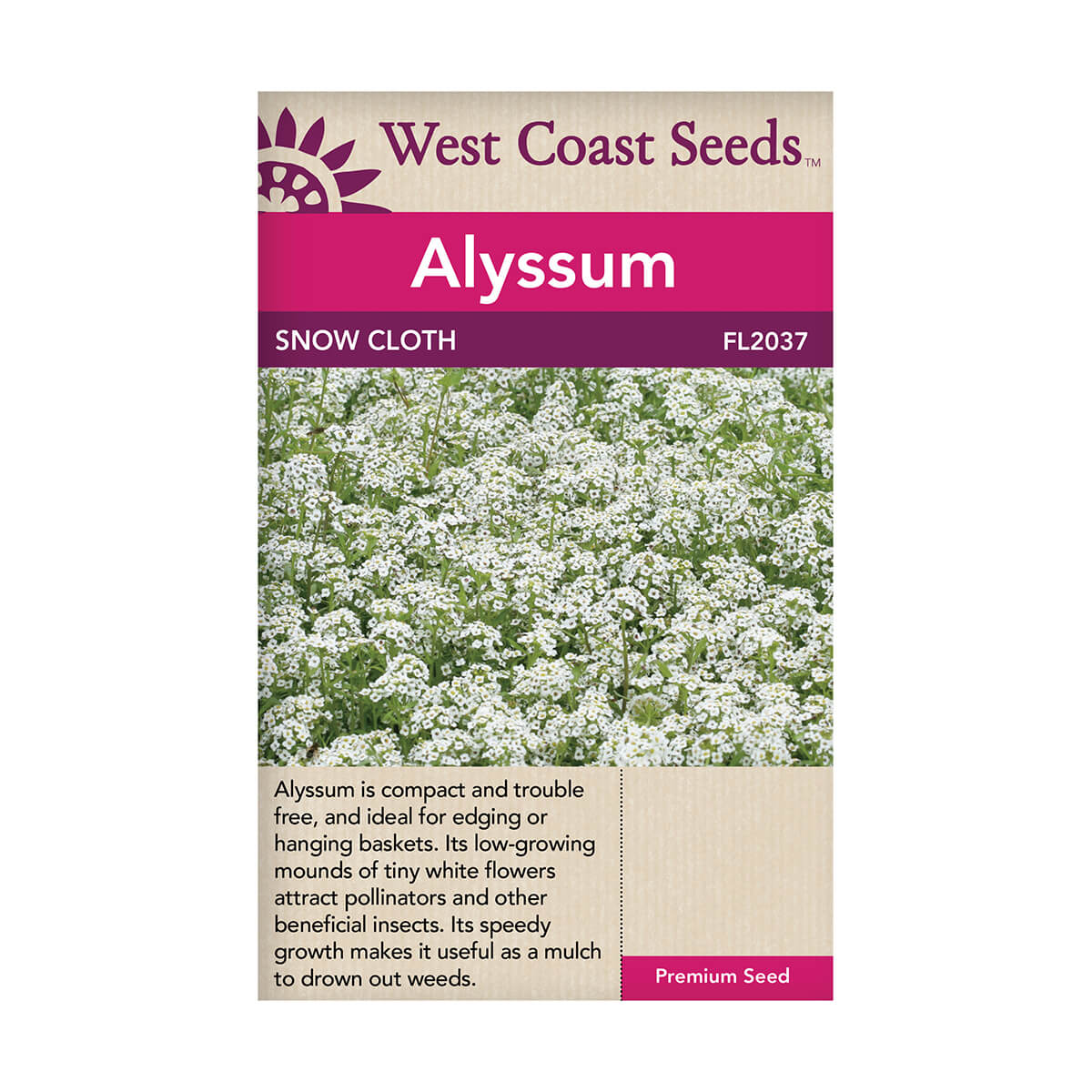 Snow Cloth Alyssum Seeds - approx. 405 seeds