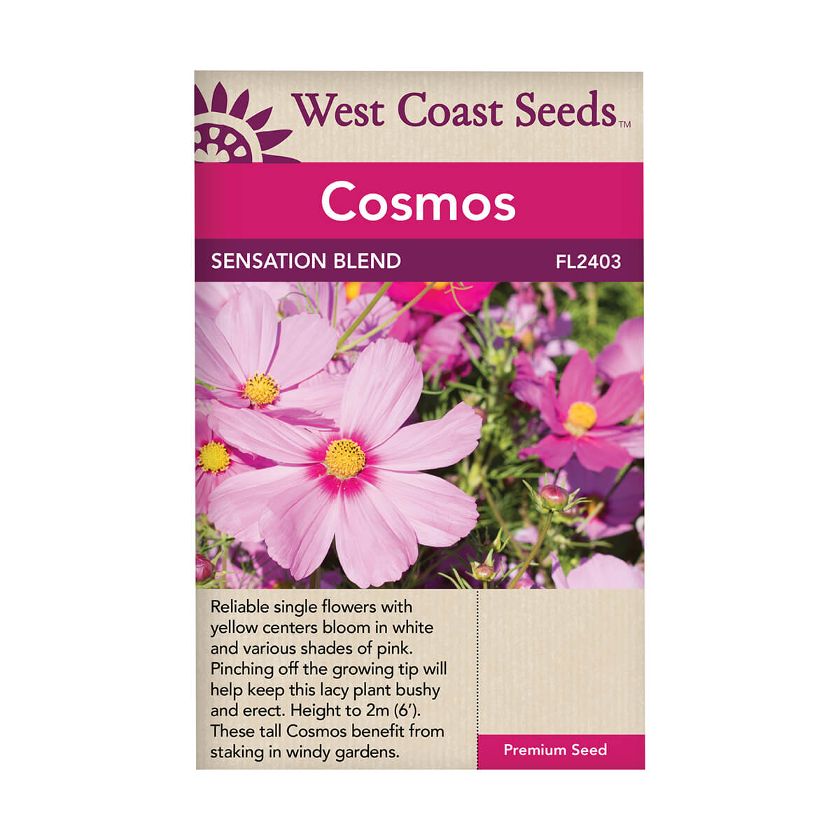 Sensation Mix Cosmos Seeds - approx. 384 seeds