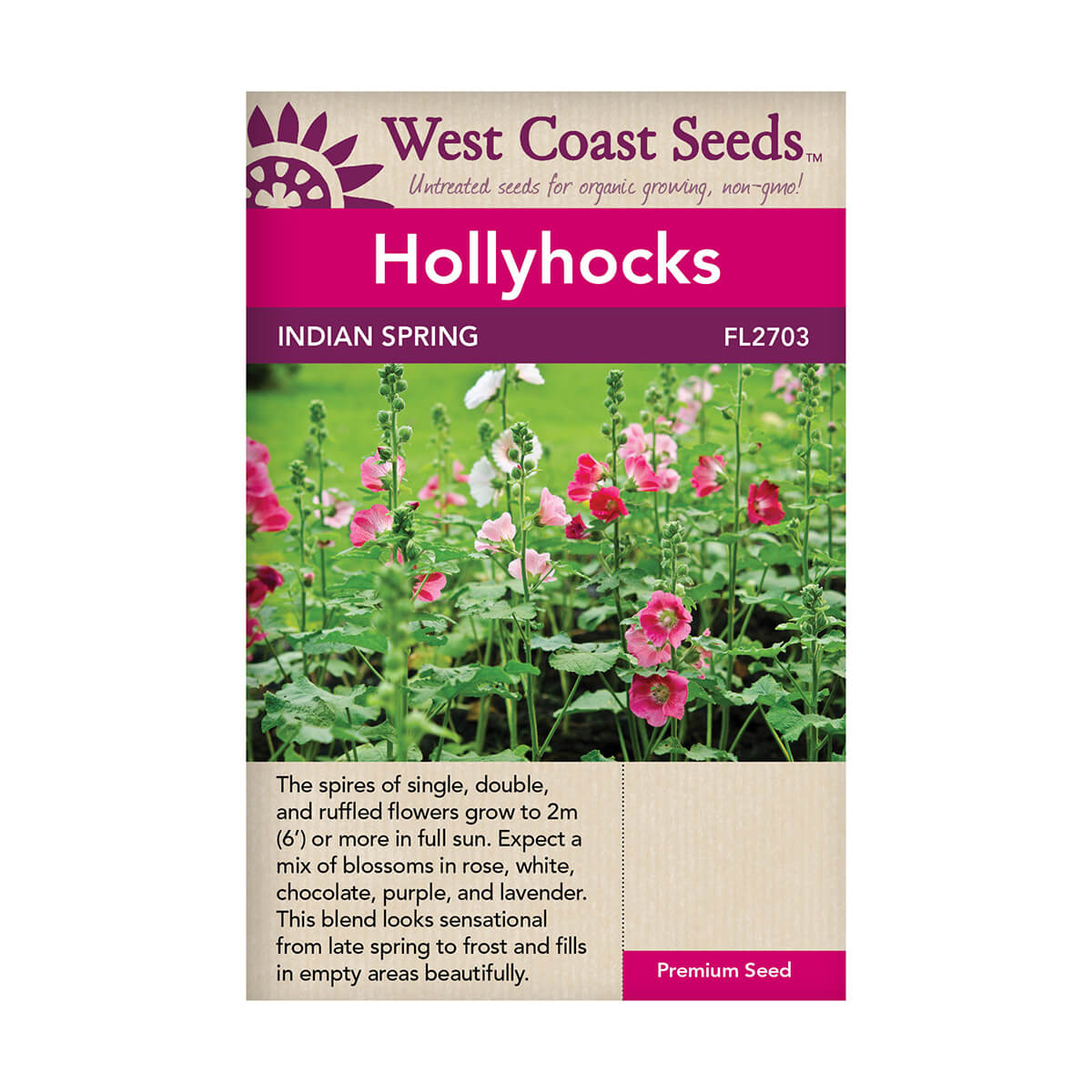 Indian Spring Hollyhocks Seeds - approx. 37 seeds