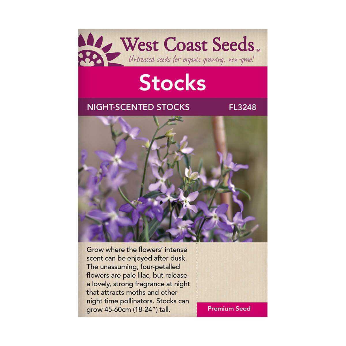 Evening Scented Stocks Seeds - approx. 555 seeds