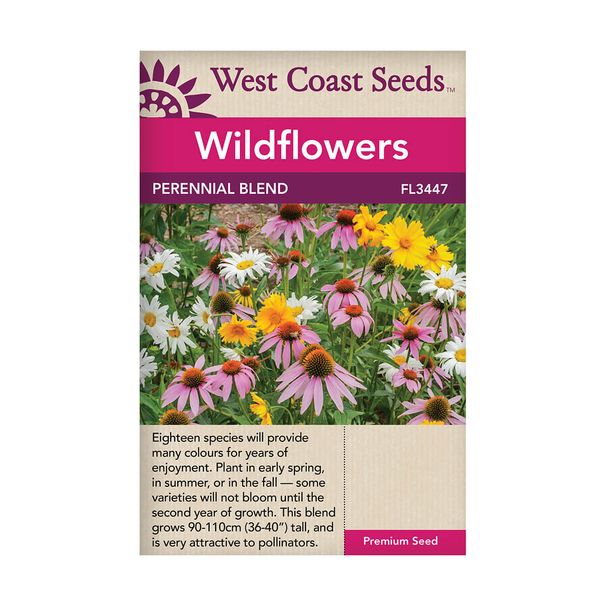 Perennial Mix Wildflower Seeds - covers approx. 35 sq ft